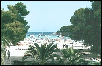 Cala d'Or